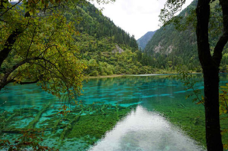 Tour pela Empresa - Huanglong, Jiuzhaigou